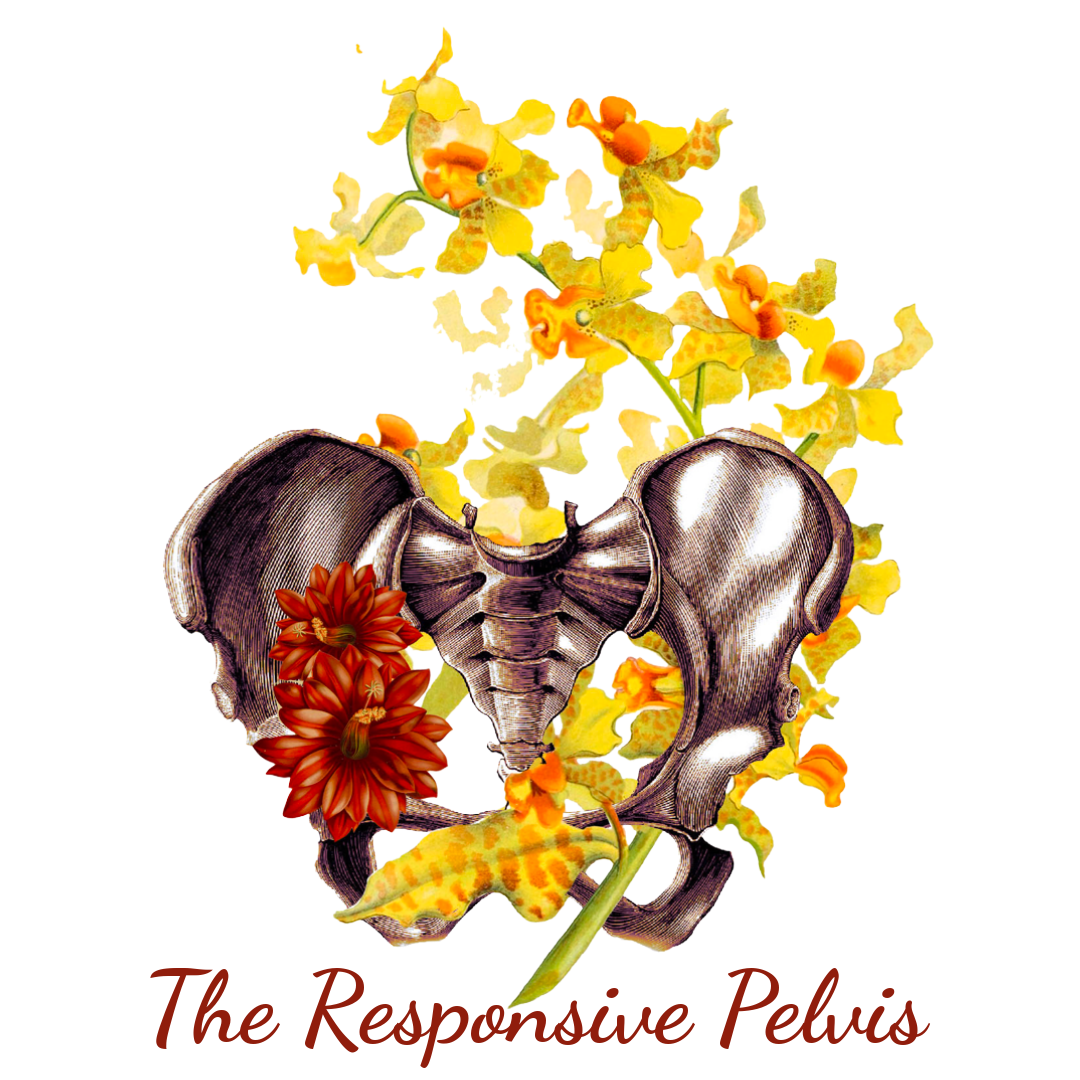 theresponsivepelvis.com